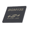 BGM13S22F512GN-V3 Image - 1